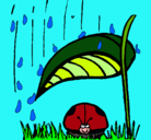 Dibujo Mariquita protegida de la lluvia pintado por lubraska