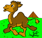 Dibujo Camello pintado por rocio
