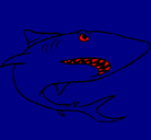 Dibujo Tiburón pintado por decristian