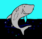 Dibujo Tiburón pintado por raulbarcoburgos