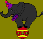 Dibujo Elefante encima de una pelota pintado por mercy