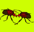 Dibujo Escarabajos pintado por isaiaguila