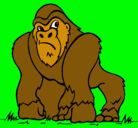 Dibujo Gorila pintado por mauriciot