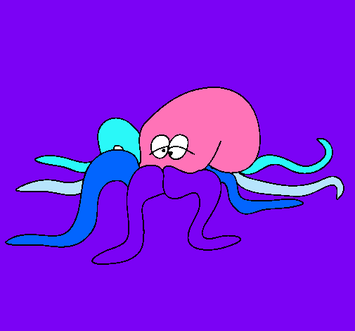 Pulpo