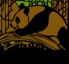 Dibujo Oso panda comiendo pintado por kevin