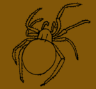 Dibujo Araña venenosa pintado por alex
