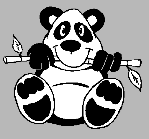 Oso panda