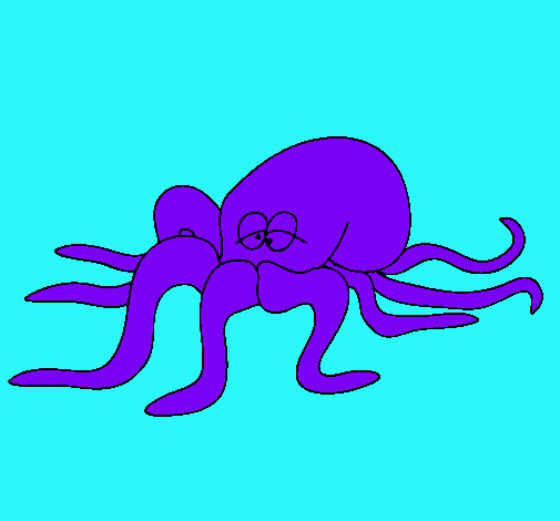 Pulpo