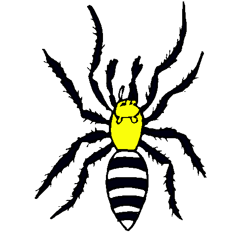 Araña tigre