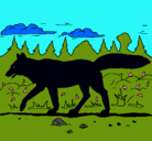 Dibujo Coyote pintado por agustina