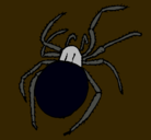 Dibujo Araña venenosa pintado por oriol