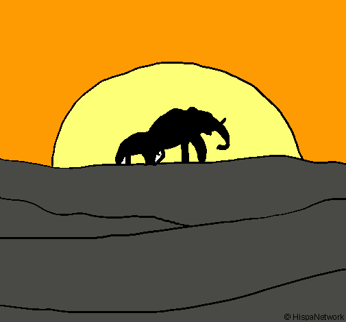 Elefante en el amanecer