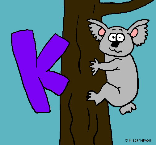 Koala