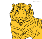 Dibujo Tigre pintado por FrAnK