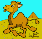 Dibujo Camello pintado por yamilafigueroa