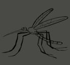 Dibujo Mosquito pintado por armando