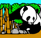 Dibujo Oso panda y bambú pintado por javiera