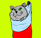 Dibujo Gato dentro de una calcetín pintado por valeska