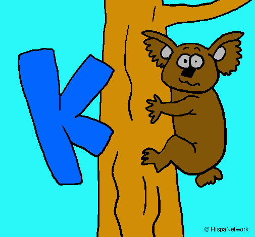 Koala