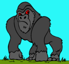 Dibujo Gorila pintado por abraham