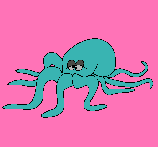 Pulpo