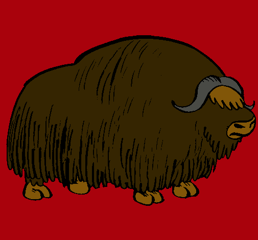 Bisonte