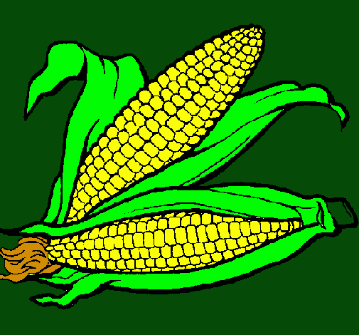 Dibujo de Mazorca de maíz pintado por Elote en  el día 09-10-10  a las 22:58:08. Imprime, pinta o colorea tus propios dibujos!