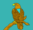 Dibujo Águila en una rama pintado por alejandro