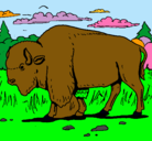 Dibujo Búfalo  pintado por emelylagunas