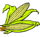 Dibujo Mazorca de maíz pintado por cris