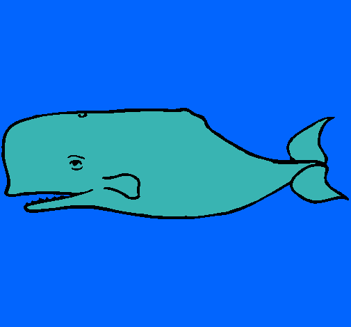 Ballena azul