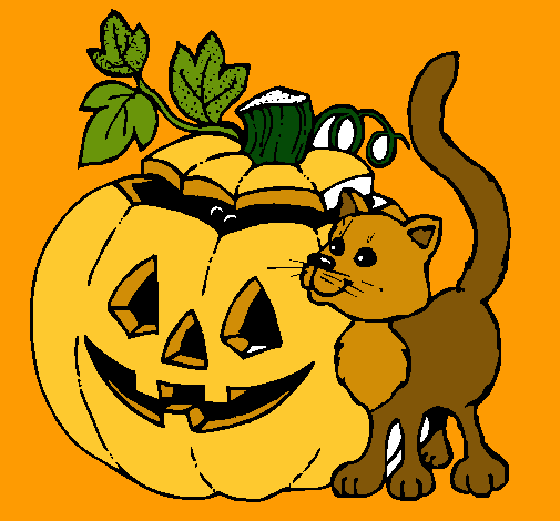 Calabaza y gato