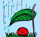 Dibujo Mariquita protegida de la lluvia pintado por yuli