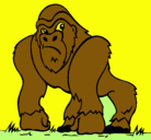 Dibujo Gorila pintado por cris