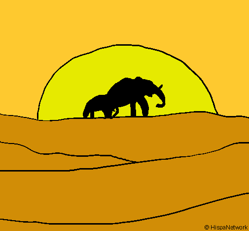 Elefante en el amanecer