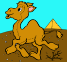 Dibujo Camello pintado por edu