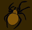 Dibujo Araña venenosa pintado por ivan