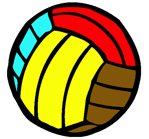 Pelota de voleibol