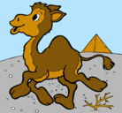 Dibujo Camello pintado por karlita