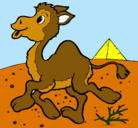Dibujo Camello pintado por yudith
