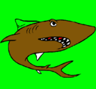 Dibujo Tiburón pintado por yahir