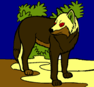 Dibujo Lobo pintado por isaac