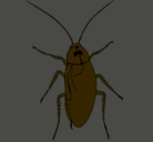 Dibujo Cucaracha grande pintado por manu