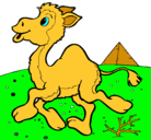 Dibujo Camello pintado por camello
