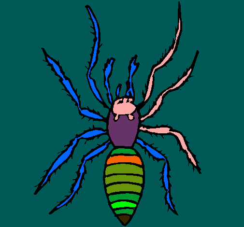 Araña tigre