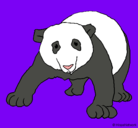 Dibujo Oso panda pintado por vale