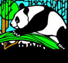 Dibujo Oso panda comiendo pintado por javiera