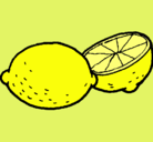 Dibujo limón pintado por Bianca