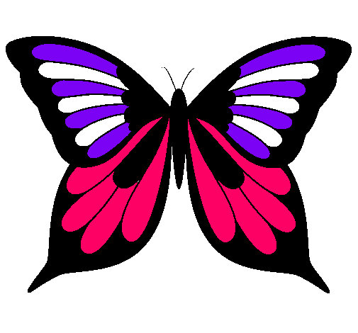 Mariposa