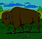 Dibujo Búfalo  pintado por myriam
